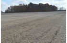 Property photo 39 - 75.3 Acres Offered in 2 Tracts